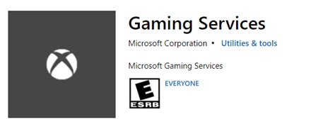 Microsoft Gaming Services.